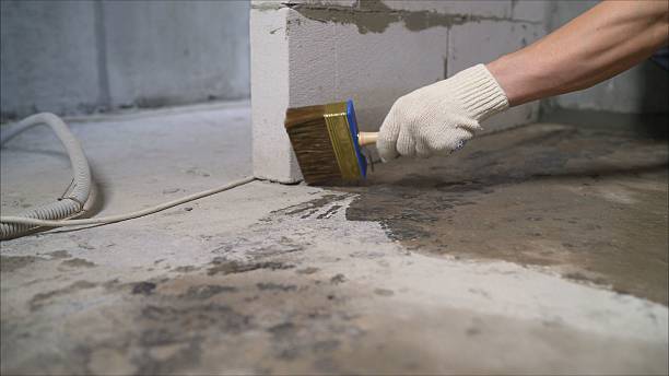 SJ Waterproofing Pros Waterproofing coverage map for Carrollton, KY and surrounding area